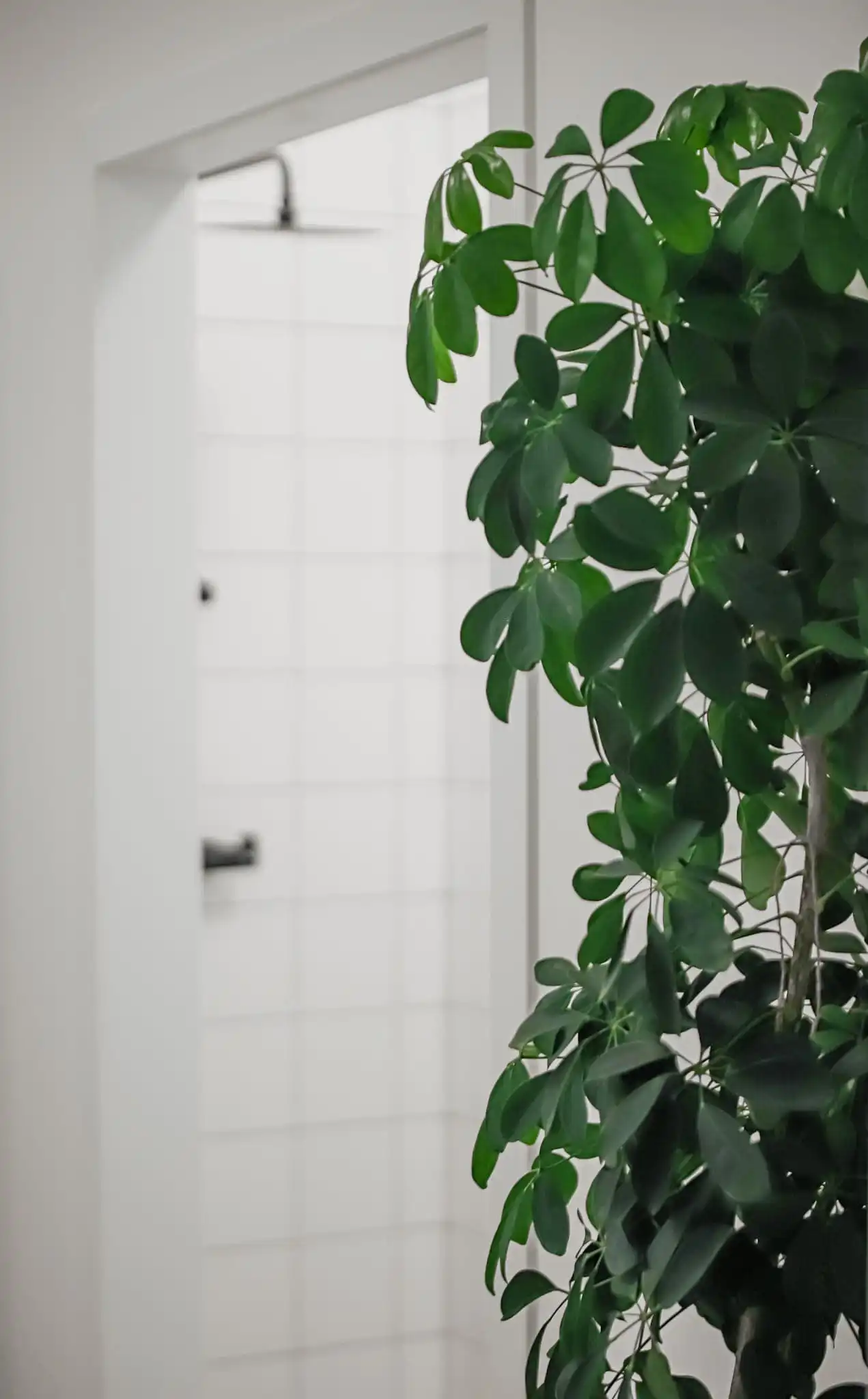 Portrait by Guilian Fremaux