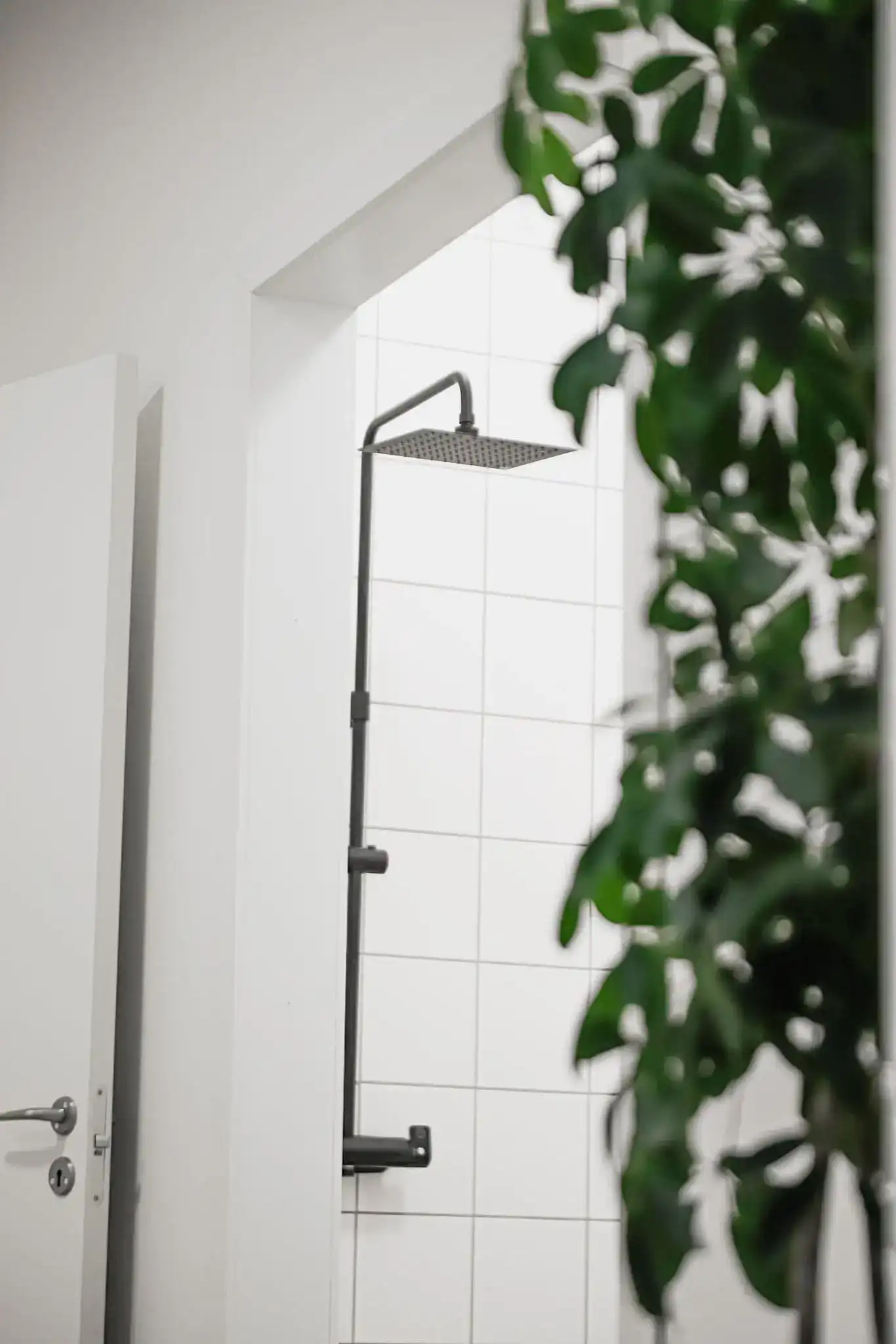 Portrait by Noah Buscher