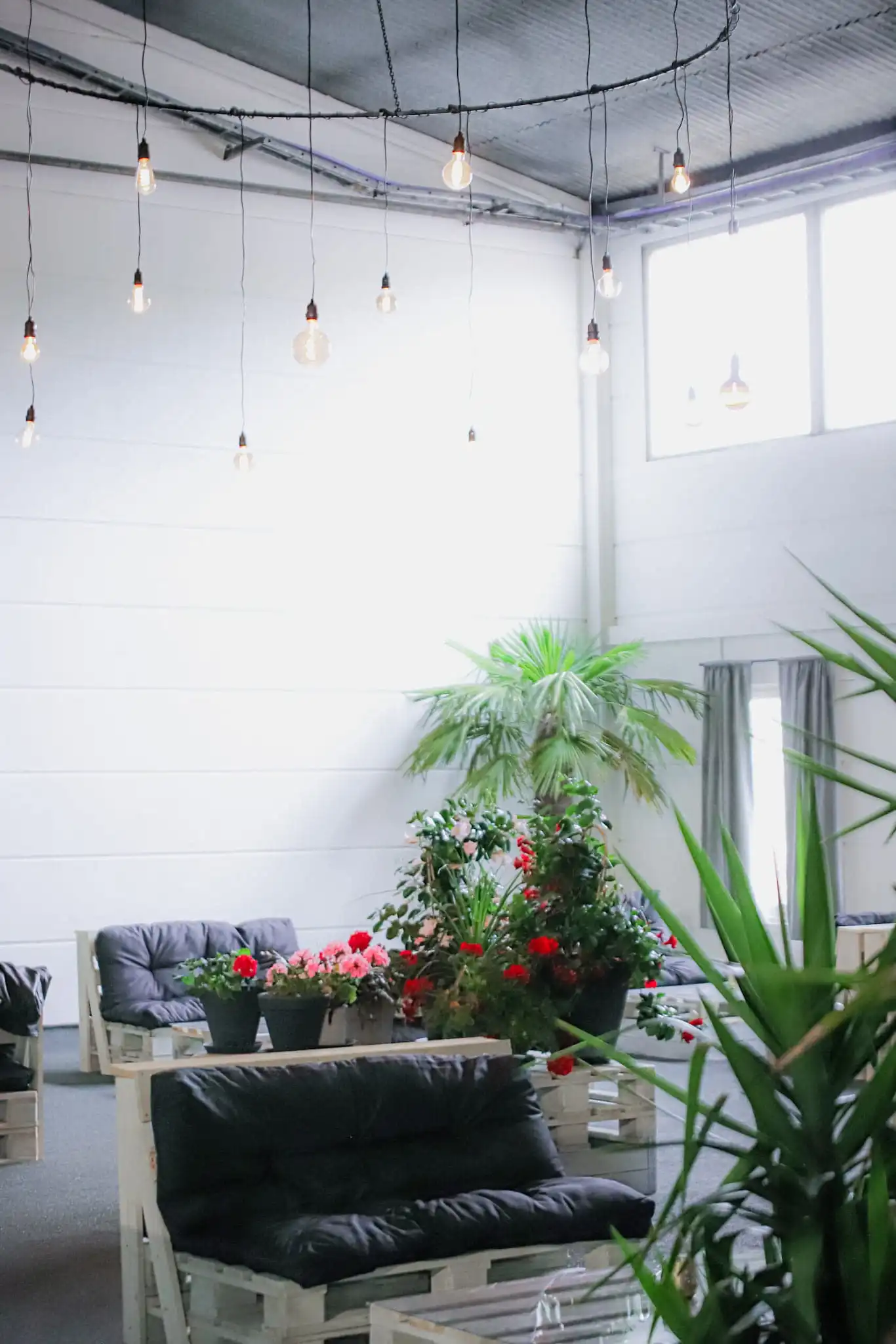 Portrait by Sam Burriss