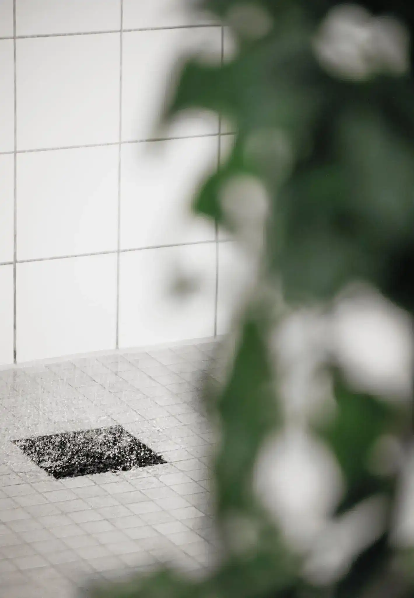 Portrait by Dima DallAcqua