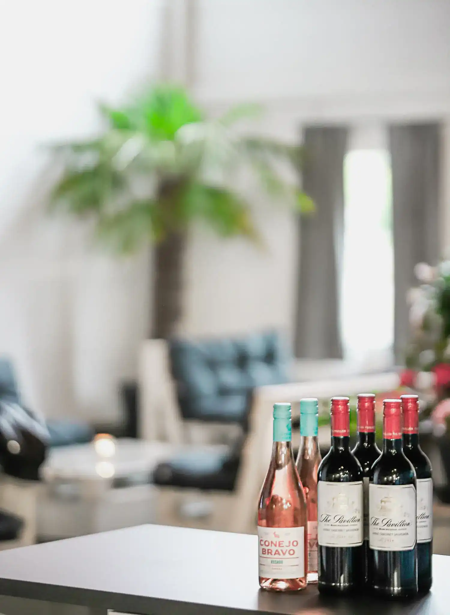 Portrait by Noah Buscher